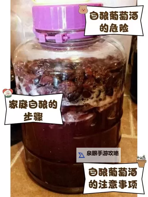 揭秘自酿葡萄酒视频：手把手教你在家自制美味葡萄酒图1