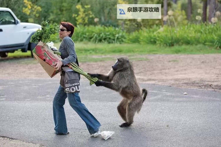 刺激亚洲：人与动物的共生之谜图1