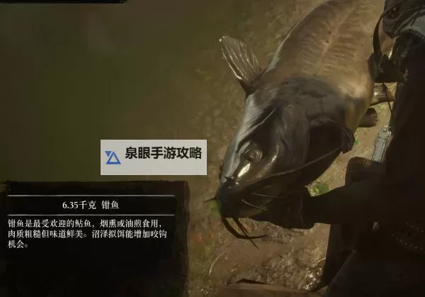 《荒野大镖客2》钓鱼技巧与地点分享 荒野大镖客2全鱼类介绍图2