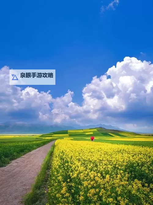 《原神》追溯求真第二关答案 3.6海龟汤第二天答案是什么图2