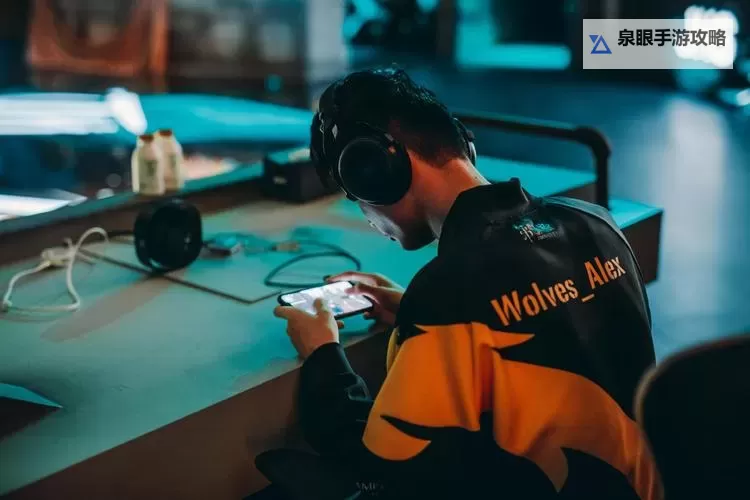 狼队电脑版下载 电脑玩狼队模拟器哪个好？图2