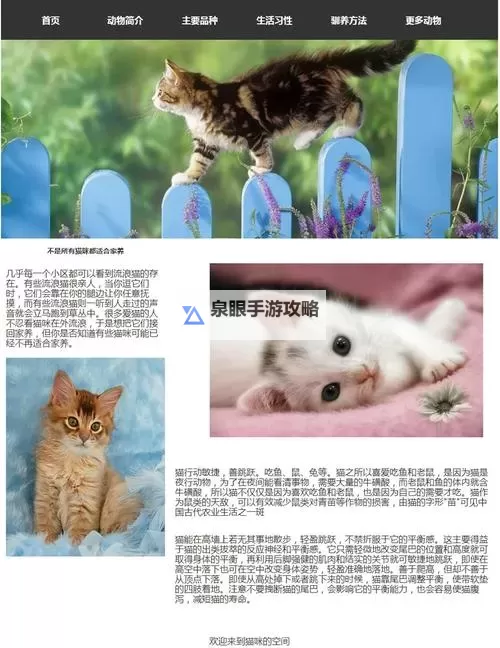 探索丰富内容：成人猫咪网站全攻略图1