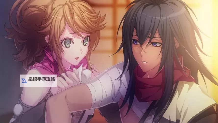 真田女忍法传：服部半蔵的逆袭之战图1