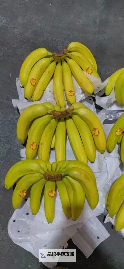 一本大道一区二区香蕉：探索青春与梦想的精彩旅程图1