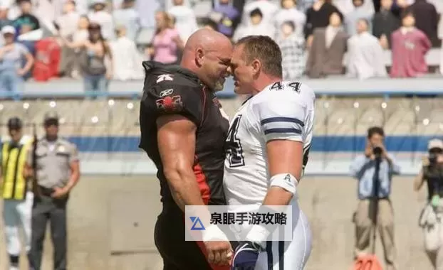 谜局终揭:最后的一码解密之谜图1