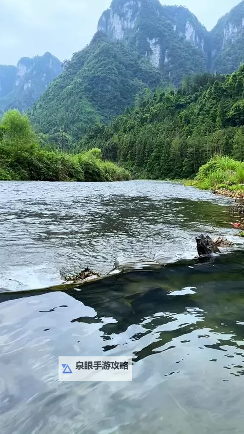 证监会吴清重磅发声：深化资本市场改革再迎新机遇图1