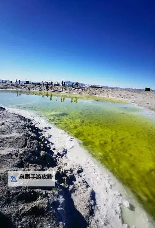 精彩集锦｜1300部小u女视频在线观看合集推荐图1