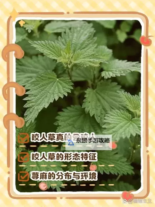 人草人人：生命的共同体与自然的和谐共存图1