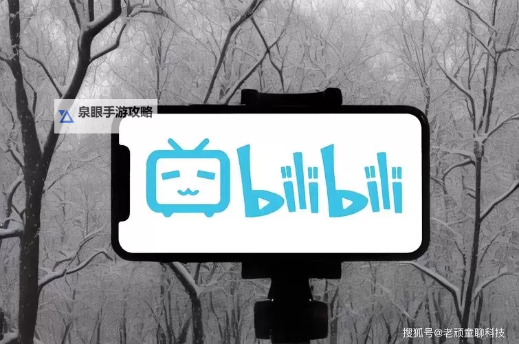 【最新指南】国外B站在线观看全攻略，轻松畅享海内外优质内容图2