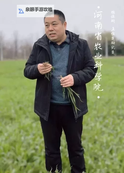 人人人人人人草：网络热点背后的另类表达图1