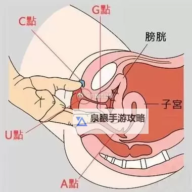 全面解析：自W的方法教程图片制作指南图1
