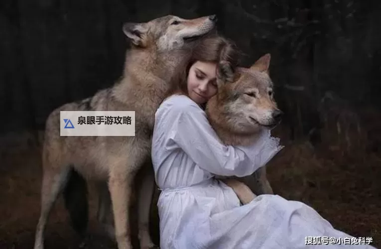 日本人与动物:和谐共生的温情故事图1