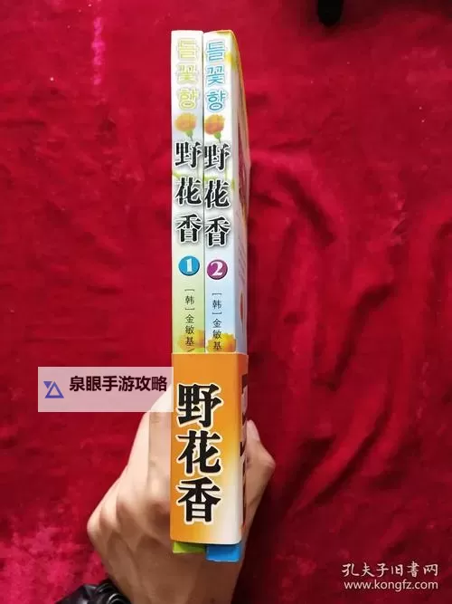 揭秘野花香韩国视频在线5:最新高清完整版在线观看指南图1