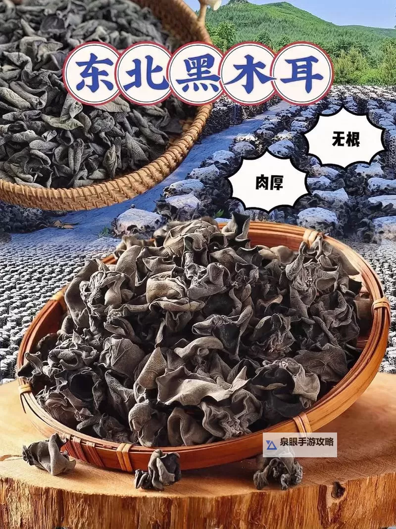 深入解析：中国黑木耳网的行业现状与未来发展图2