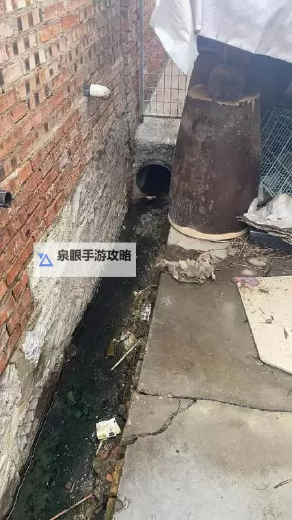 中学沟厕积水反光现象引发关注：校园卫生亟待改善图1