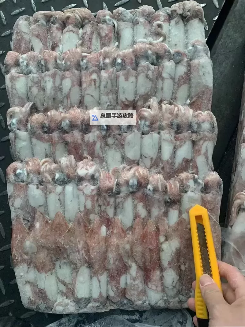 探索鱿鱼网BY66626：全面解析优质资源与使用指南图1