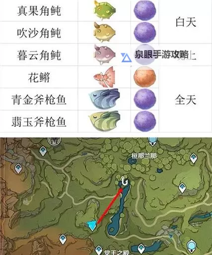 《原神》4.2版全钓鱼位置及鱼类分布一览图1