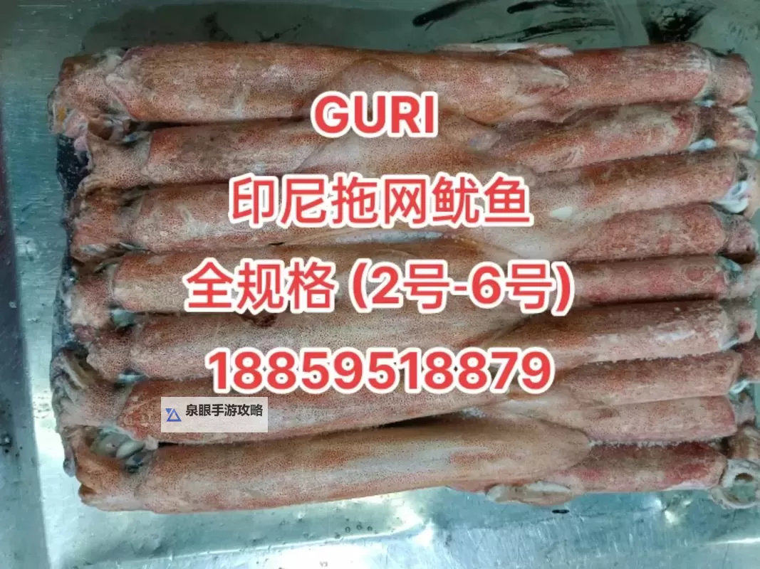 探索鱿鱼网BY66626：全面解析优质资源与使用指南图2