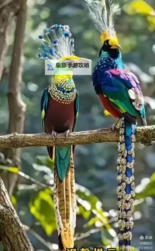 《乱入英雄》武将技能攻略：武将技能体系详解图1