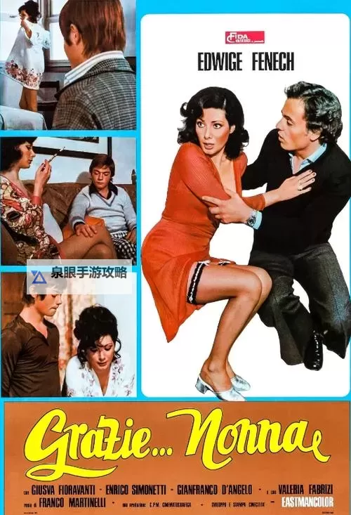 如何利用祖母CHEAPWINDOWSVPS实现低成本高效的网络连接图2