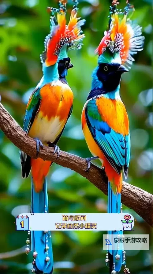 《乱入英雄》武将技能攻略：武将技能体系详解图2