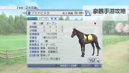 赛马世界 游戏常识与上手心得图1