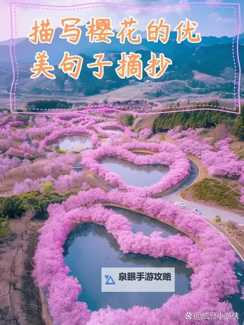 我的初恋对象不可能是在线看樱花：那段错过的青春记忆图1