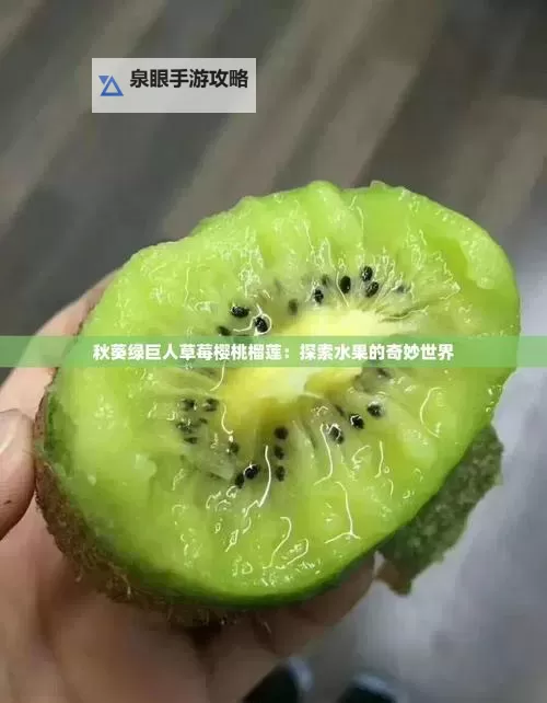 四季缤纷：向日葵与樱花摇曳，草莓与榴莲的甜蜜秋葵的丰收之歌图1