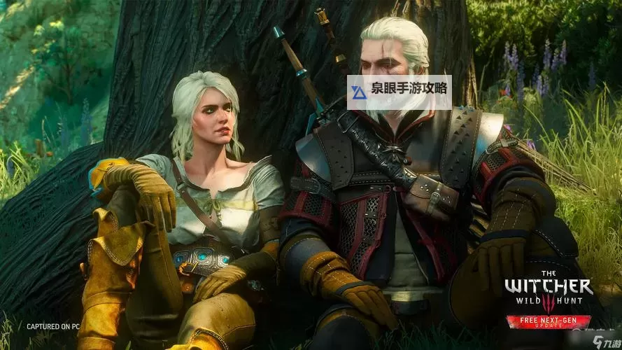 《巫师3》画面设置 低端显卡流畅画面设置心得图1