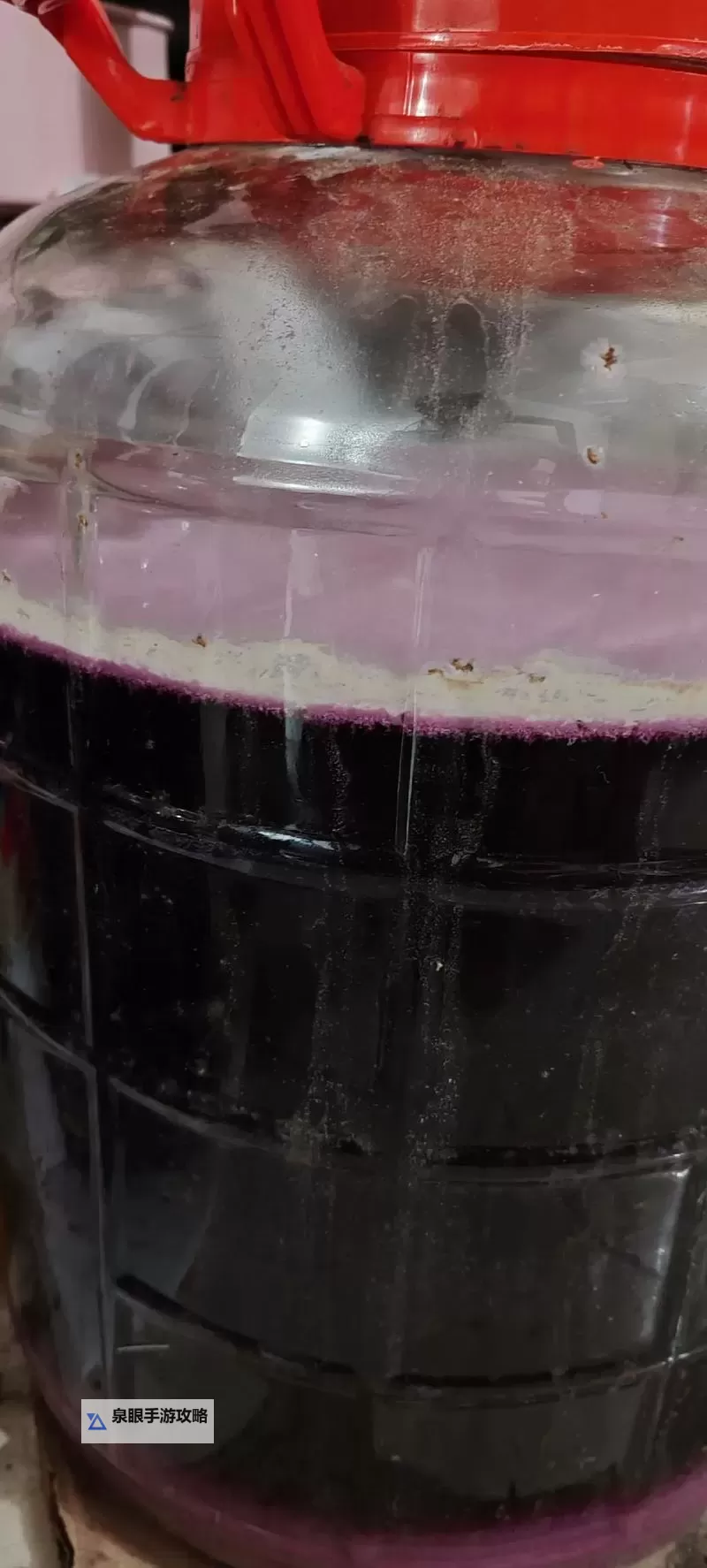 揭秘自酿葡萄酒视频：手工酿造的别样魅力图1