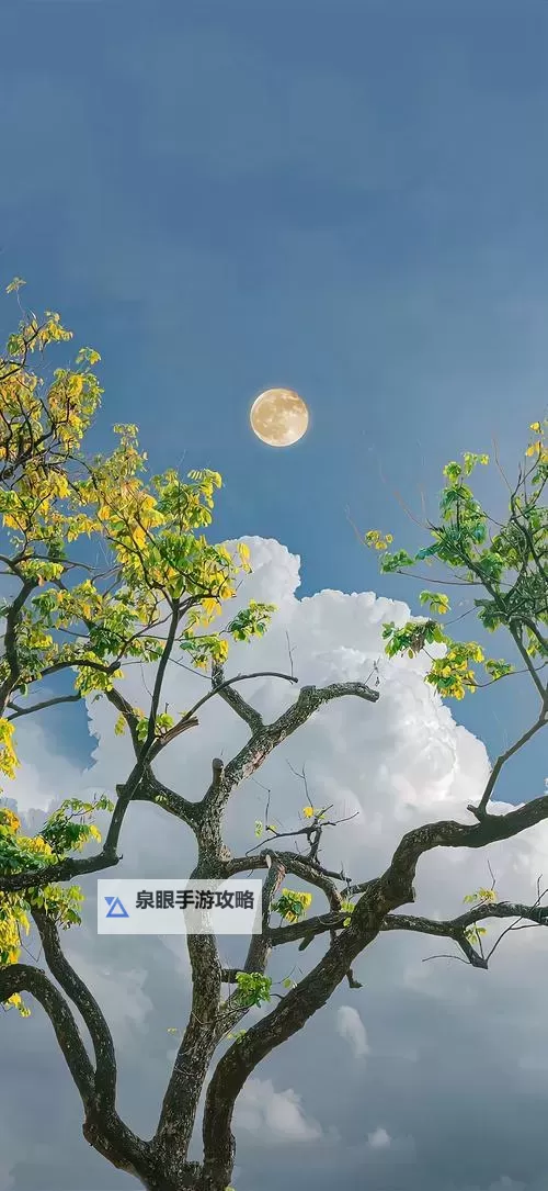 用我的大JBC死我：一段无法抗拒的强烈情感表达图1