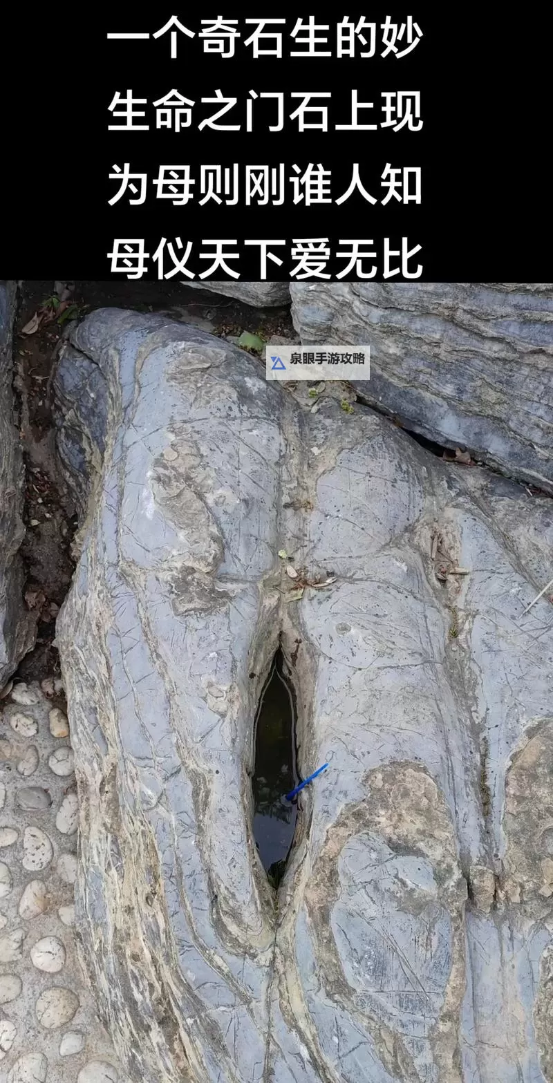 撞进妈妈的生命之门：穿越时光的温情旅程图1