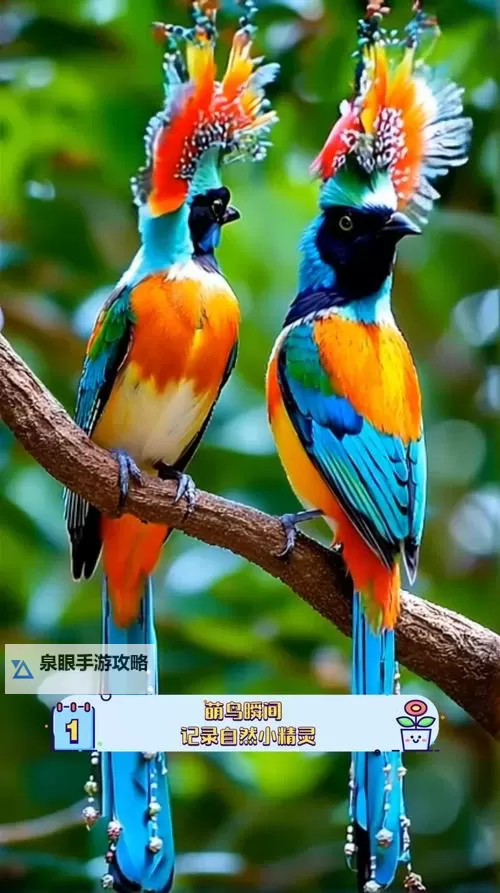 《夺宝奇兵古老之圈》永恒宝座解谜攻略 永恒宝座谜团怎么解图1