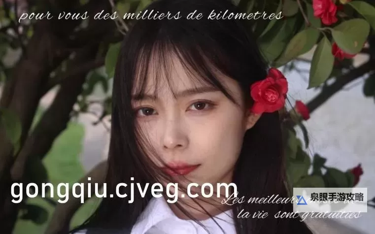 免费在线观看中文字乱码在线观看2021：最新高清全网资源推荐图1