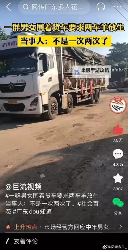 中年男女站在载羊货车旁要求放生:呼吁善待生命的温情瞬间图1