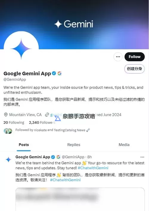 有没有双子 Gemini双开软件推荐 深度解答如何双开双子 Gemini图1