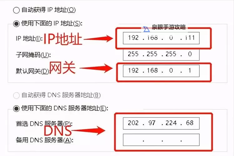 探索8x8x8x域名解析IP地址查询的实用指南与步骤解析图1
