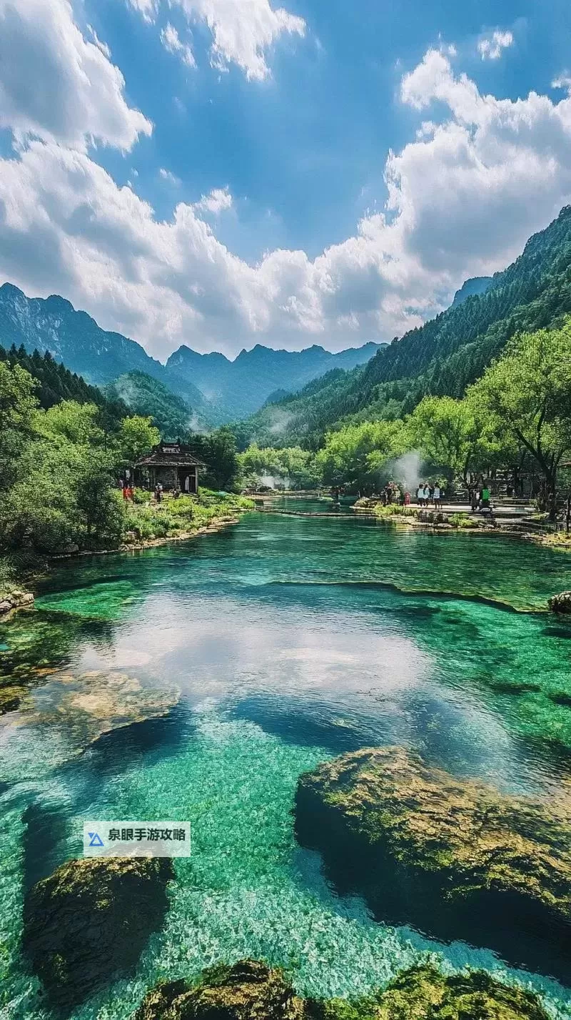 邻里趣事:住在隔壁的小狼狗带来的温暖时光图1