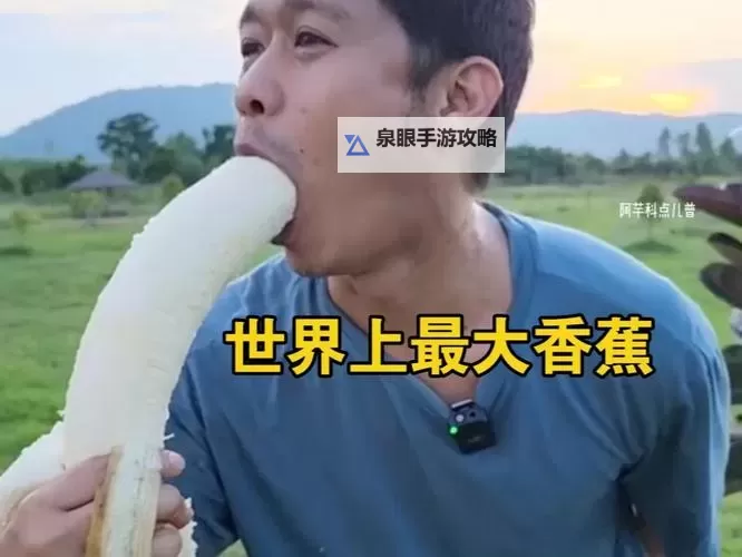 97大香蕉在线视频一区二区：精彩推荐不容错过的精彩内容图2