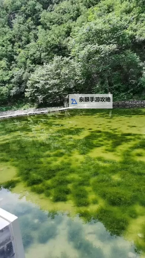 《海魂少女》新手攻略：基础玩法介绍图1