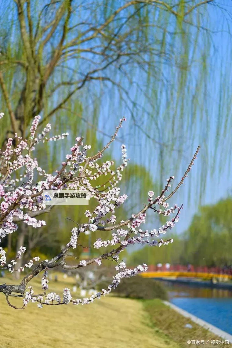 提升作物产量的秘密武器：优质jing液灌溉系统全面解析图1