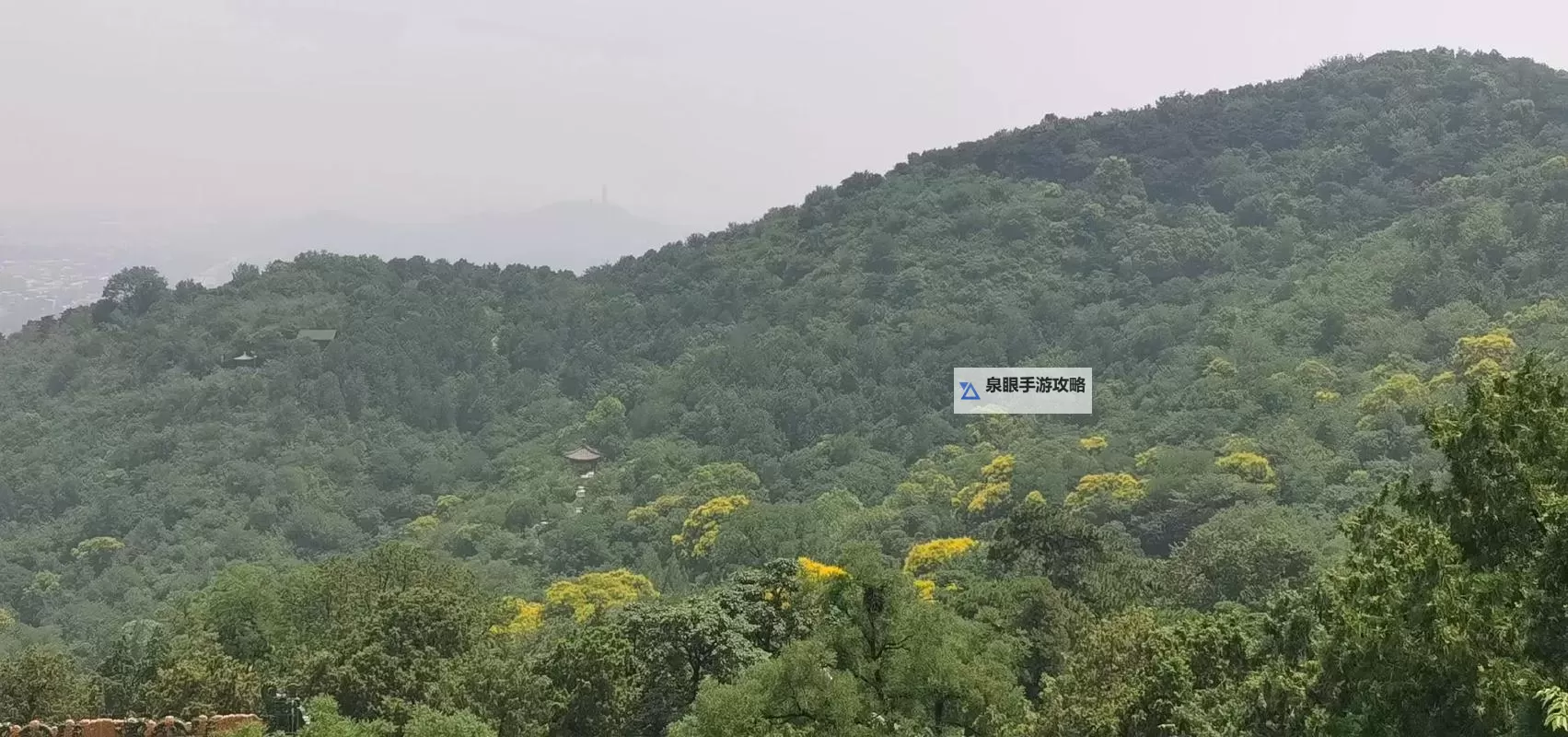 探索未来视觉盛宴:天天视频幻星辰2024全面解析图1