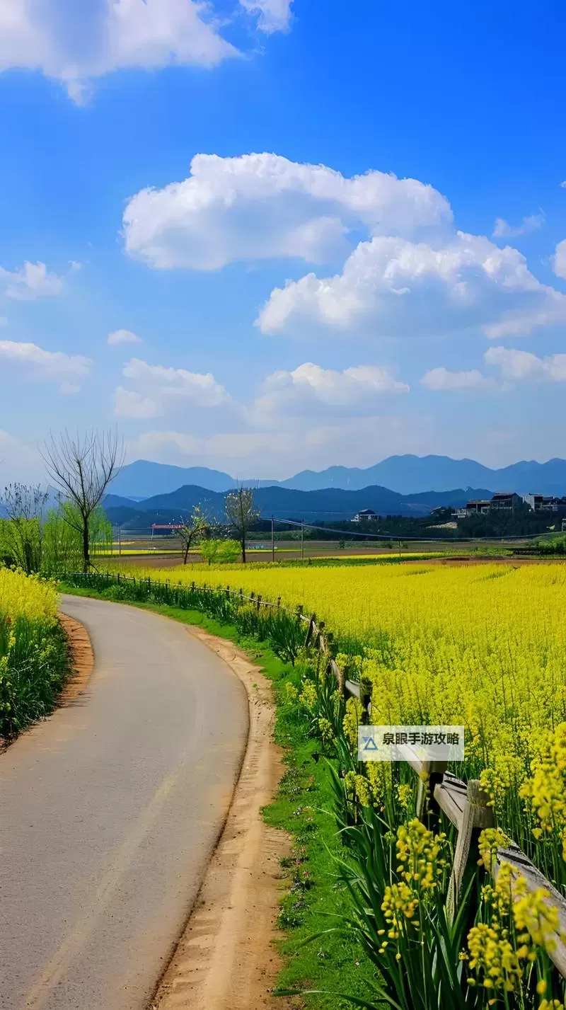 如何安全使用久久爱123456:保障你的互联网体验图1