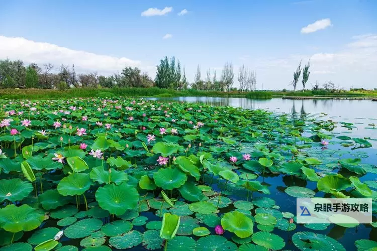 《无畏契约》新皮肤橙色疾影实机预览图1