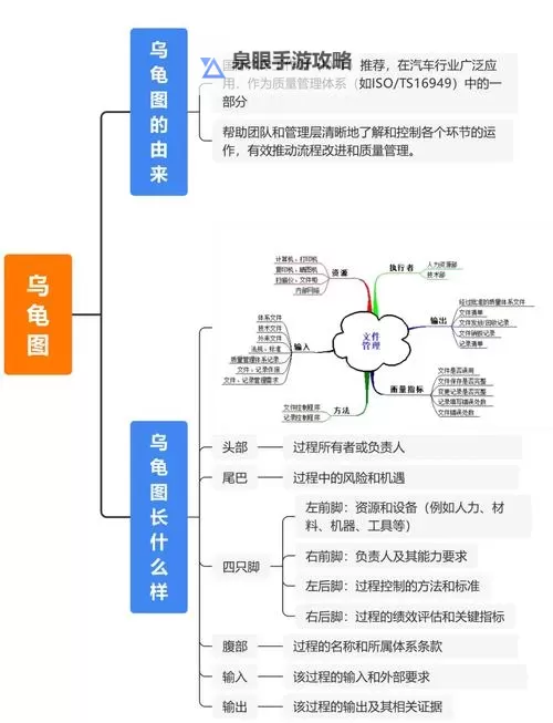 怎样降低龟的灵敏度：实用技巧与注意事项图1