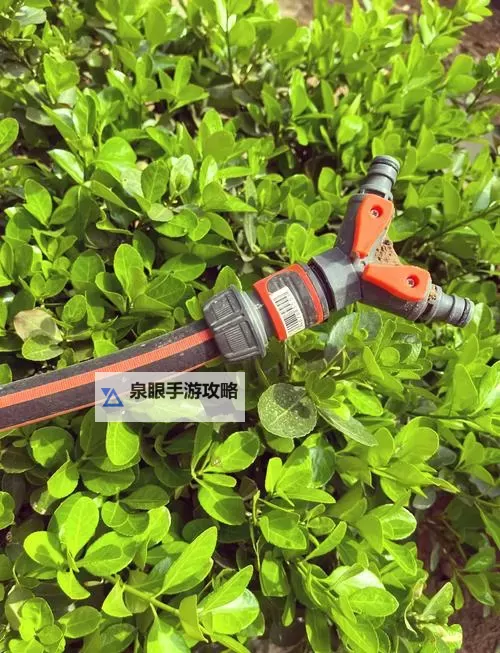 用爱把你小花园灌溉：点亮心中那片温馨绿洲图1