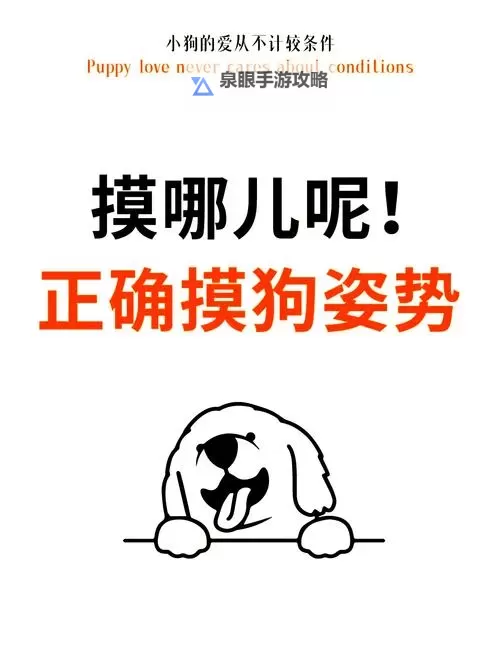 怎样让狗狗进入新环境变得更容易的方法图1