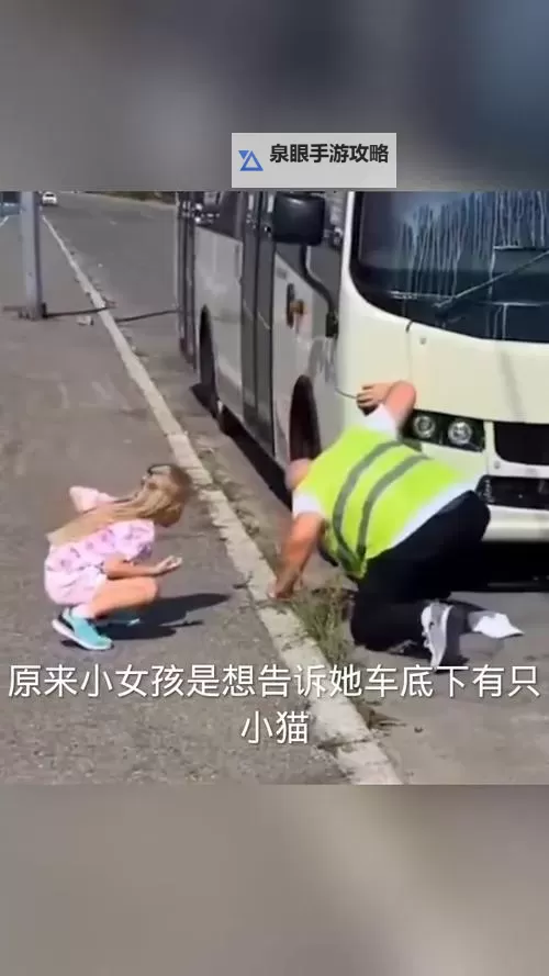 温馨行动:用爱拯救小猫咪的感人故事图1