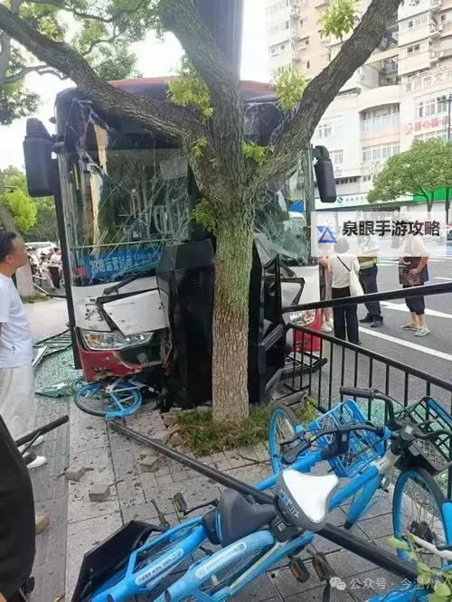 在公交车上被撞得一前一后：奇异的遭遇引发的思考图1