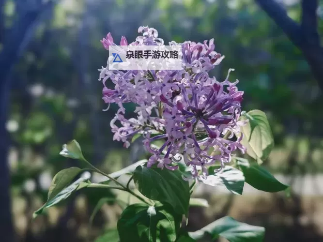 五月丁色：春意盎然的温暖色调解析图1